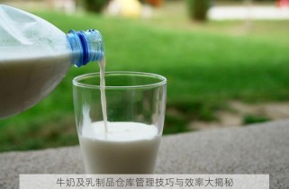 牛奶及乳制品仓库管理技巧与效率大揭秘