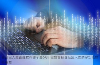 食品出入库管理软件哪个最好用 高效管理食品出入库的多功能软件推荐