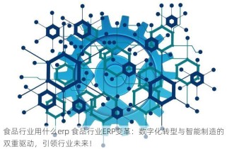 食品行业用什么erp 食品行业ERP变革：数字化转型与智能制造的双重驱动，引领行业未来！
