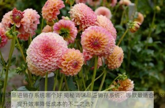 采购零食平台怎么做账目 采购零食平台账目管理秘诀：清晰记录，顺畅资金流动，关键要点一网打尽！