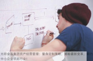 光明食品集团资产经营管理：量身定制策略，揭秘最新变革，助力中小企业领跑行业！