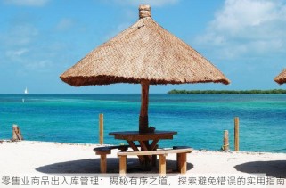零售业商品出入库管理：揭秘有序之道，探索避免错误的实用指南