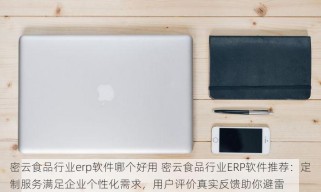 零售批发进销存软件哪个最好用 一站式解决进销存难题：按需选择，探索哪款零售批发进销存软件更胜一筹