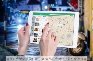 食品厂会计记账软件哪个好 食品厂会计记账软件选择指南