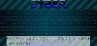 食品加工行业 erp 食品加工行业ERP：领跑行业的生产管理利器，助力企业飞速发展！