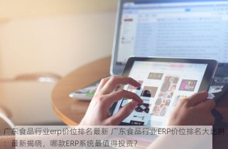 广东食品行业erp价位排名最新 广东食品行业ERP价位排名大比拼：最新揭晓，哪款ERP系统最值得投资？