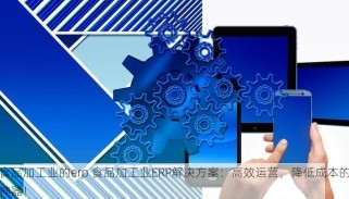 食品加工业的erp 食品加工业ERP解决方案：高效运营，降低成本的神器！