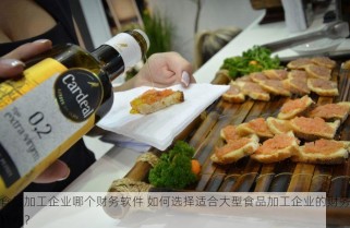 食品加工企业哪个财务软件 如何选择适合大型食品加工企业的财务软件？