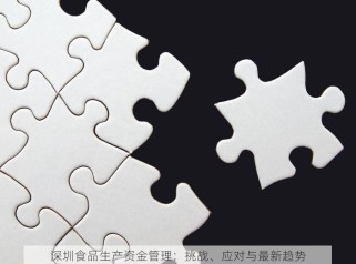 深圳食品生产资金管理：挑战、应对与最新趋势