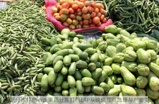 果蔬分拣打包 erp 果蔬分拣打包ERP系统供应商选择与产业变革
