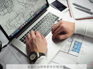 食品行业财务软件价格详解