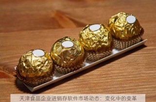 天津食品企业进销存软件市场动态：变化中的变革