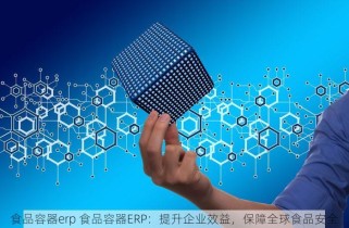 食品容器erp 食品容器ERP：提升企业效益，保障全球食品安全