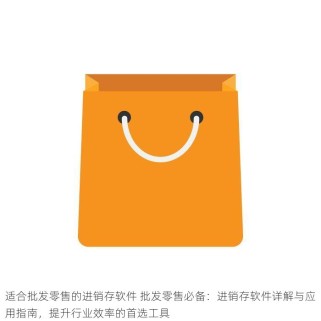 适合批发零售的进销存软件 批发零售必备：进销存软件详解与应用指南，提升行业效率的首选工具