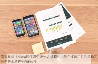 密云食品行业erp软件哪个好一点 选择中小型企业适用且性能稳定的密云食品行业ERP软件