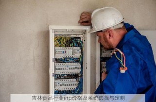 吉林食品行业erp价格及系统选择与定制
