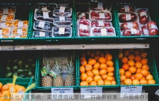 食品出入库系统：实现透明化管理，打造新标准，升级库存无忧