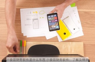 小食品财务软件是什么东西 小食品财务软件：了解及特点