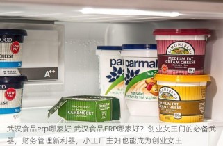 武汉食品erp哪家好 武汉食品ERP哪家好？创业女王们的必备武器，财务管理新利器，小工厂主妇也能成为创业女王