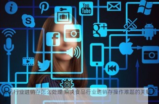 食品行业进销存怎么处理 解决食品行业进销存操作难题的关键方法