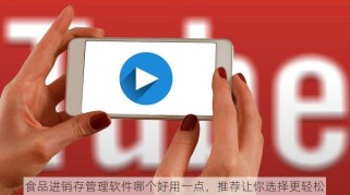食品进销存管理软件哪个好用一点，推荐让你选择更轻松
