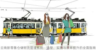 云南新零售仓储物流管理系统：选型、实施与效率提升的全面指南