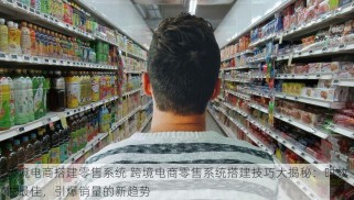 跨境电商搭建零售系统 跨境电商零售系统搭建技巧大揭秘：时效性最佳，引爆销量的新趋势