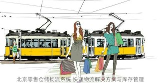 北京零售仓储物流系统 快递物流解决方案与库存管理