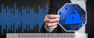 零食批发进销存系统 数据分析和库存盘点