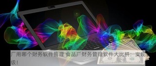 食品厂用哪个财务软件管理 食品厂财务管理软件大比拼：实现智能化升级！