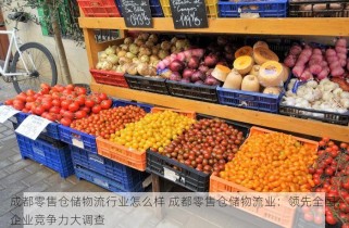 成都零售仓储物流行业怎么样 成都零售仓储物流业：领先全国，企业竞争力大调查