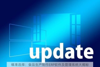 精准选择：食品生产制作ERP软件及管理系统大揭秘