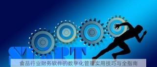 食品行业财务软件的数字化管理实用技巧与全指南