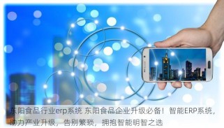 东阳食品行业erp系统 东阳食品企业升级必备！智能ERP系统，助力产业升级，告别繁琐，拥抱智能明智之选