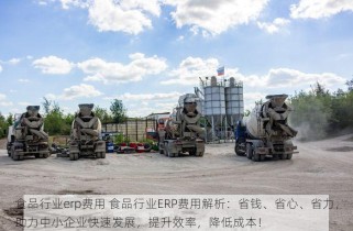 食品行业erp费用 食品行业ERP费用解析：省钱、省心、省力，助力中小企业快速发展，提升效率，降低成本！
