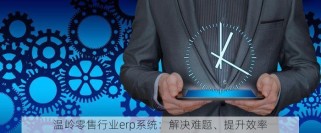  温岭零售行业erp系统：解决难题、提升效率 