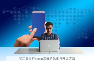 湛江食品行业erp系统的优化与升级方法
