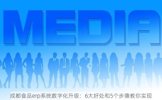 成都食品erp系统数字化升级：6大好处和5个步骤教你实现