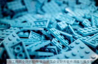 食品加工用哪个财务软件 食品加工企业财务软件选择与操作指南
