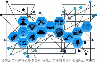 食品加工业用什么财务软件 食品加工业财务软件选择与应用指导