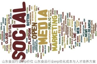 山东食品行业erp价位 山东食品行业erp优化成本与人才培养方案