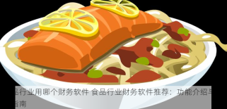 食品行业用哪个财务软件 食品行业财务软件推荐：功能介绍与操作指南