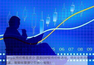 酒类erp软件价格是多少 酒类ERP软件价格透明，优化业务流程效果显著，智能化管理让您省心省钱！