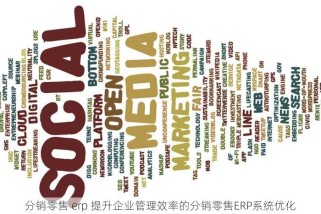 分销零售 erp 提升企业管理效率的分销零售ERP系统优化