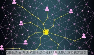 杭州食品erp系统 杭州食品企业ERP系统整合及实施方法指南