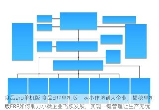 食品erp单机版 食品ERP单机版：从小作坊到大企业，揭秘单机版ERP如何助力小微企业飞跃发展，实现一键管理让生产无忧