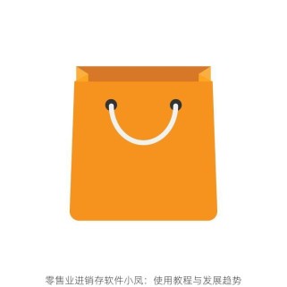 零售业进销存软件小凤：使用教程与发展趋势