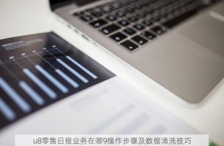 u8零售日报业务在哪9操作步骤及数据清洗技巧