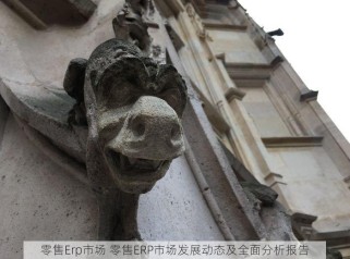 零售Erp市场 零售ERP市场发展动态及全面分析报告
