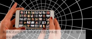 果蔬配送erp系统 智能果蔬配送ERP系统：一键查询，轻松管理，行业必备神器！